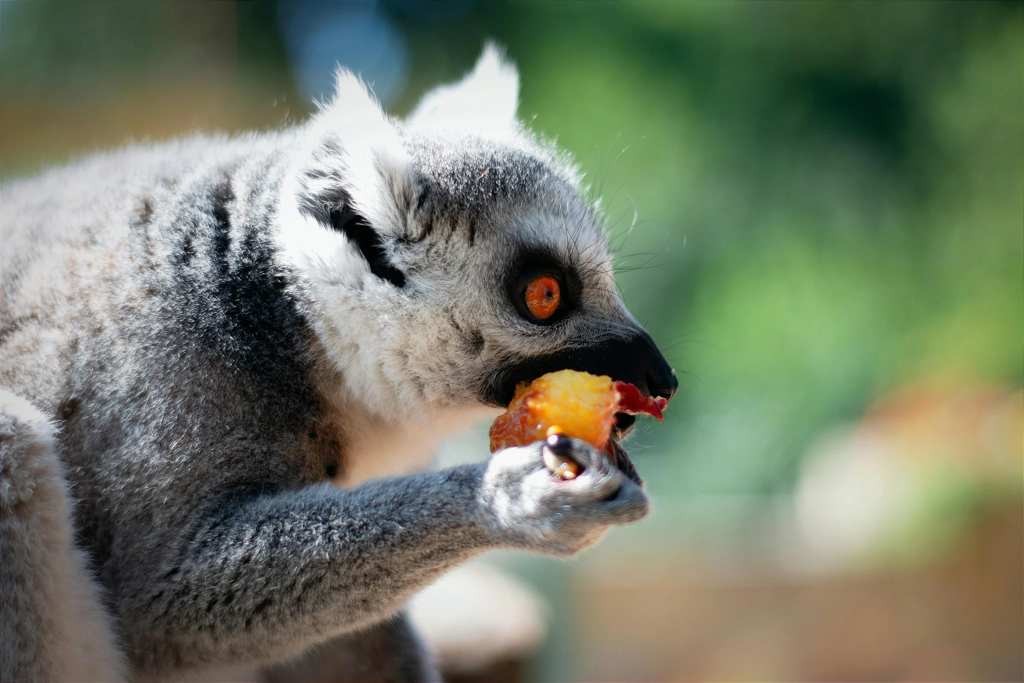 Long-Tail Topic Clusters